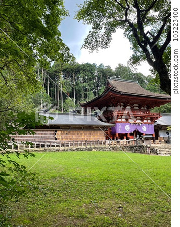 The cherry blossom gate of Niutsuhime Shrine 105223400
