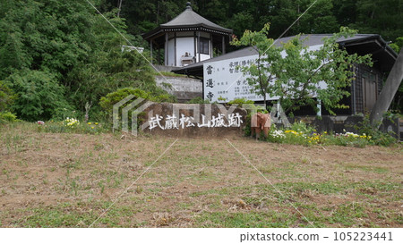 武藏松山城 105223441