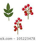 Nanten fruit and leaf illustration set 105223478