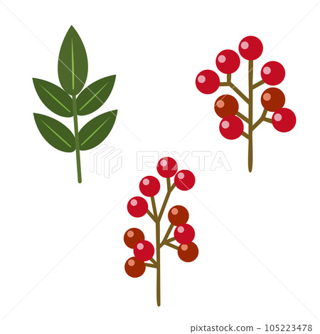 Nanten fruit and leaf illustration set 105223478
