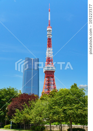 Scenery with a view of Tokyo Tower Shiba Park 105223577