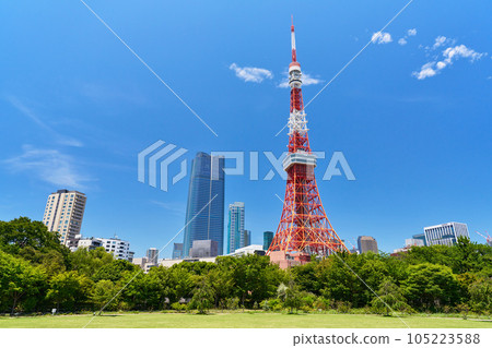 Scenery with a view of Tokyo Tower Shiba Park 105223588