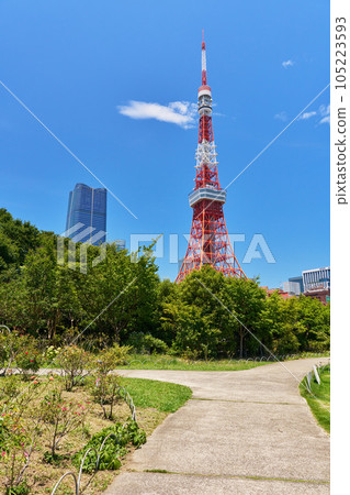 Scenery with a view of Tokyo Tower Shiba Park 105223593