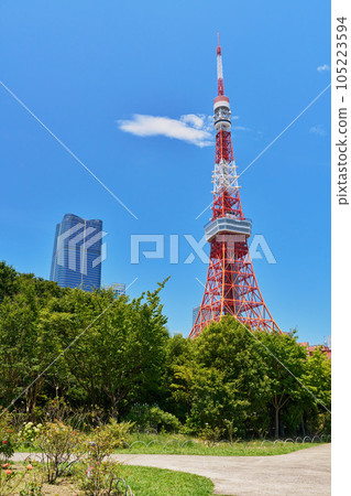 Scenery with a view of Tokyo Tower Shiba Park 105223594