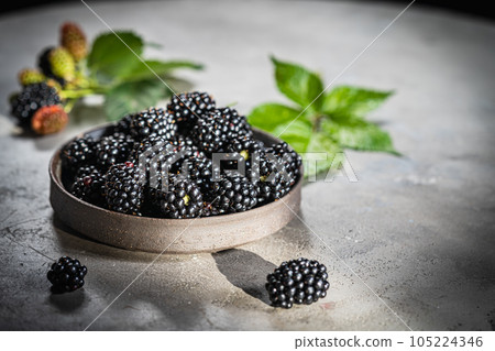 Ripe blackberries with leaves 105224346