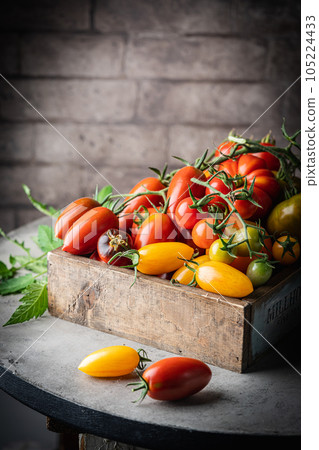 Mix colorful tomatoes 105224433