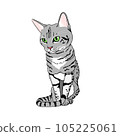 一隻貓 105225061