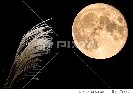 中秋月/十五夜(滿月和蒲葦) 中秋月/十五夜(滿月和蒲葦) 105225852