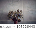 Dry blue and white violet flowers in earthenware vase 105226443