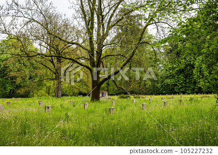 russian cemetery of honor at weimar, thuringia, germany russian cemetery of honor at weimar, thuringia, germany 105227232