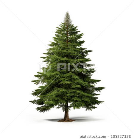 Christmas tree isolated Christmas tree isolated 105227328