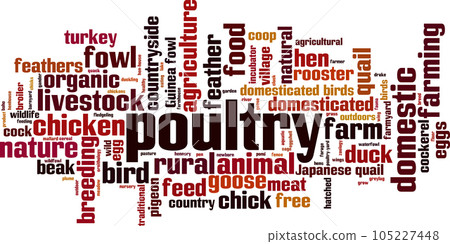 Poultry word cloud 105227448