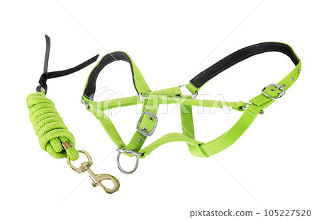 halter in studio 105227520