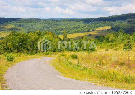 road leads through scenic countryside journey. asphalt way invites travelers to embark on a trip through the serene landscape, where nature beauty is on full display 105227868