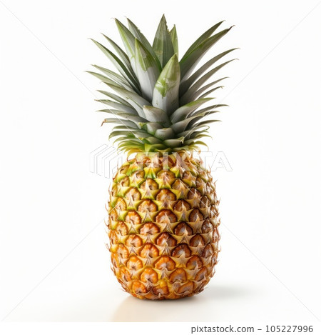 A single pineapple isolated 105227996
