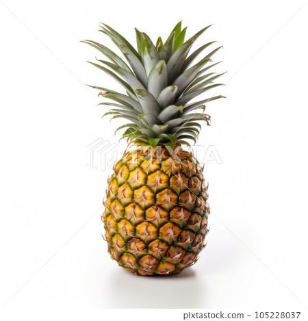 A single pineapple isolated A single pineapple isolated 105228037