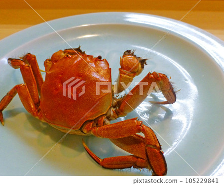 Fatty crabs are the most delicious, picture of salt-boiled mitten crabs of the same family as Shanghai crabs Fatty crabs are the most delicious, picture of salt-boiled mitten crabs of the same family as Shanghai crabs 105229841