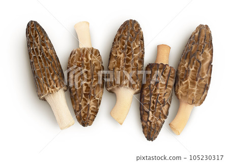 raw morel mushroom isolated on white background with full depth of field. Top view. Flat lay. 105230317