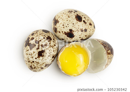 Raw quail egg isolated on white background with full depth of field. Top view. Flat lay Raw quail egg isolated on white background with full depth of field. Top view. Flat lay 105230342