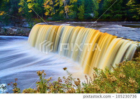 Tahquamenon Falls with thistle weeds growing beside river and basin with cliff walls on other side Tahquamenon Falls with thistle weeds growing beside river and basin with cliff walls on other side 105230736