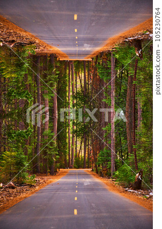 Mirrored world of Yosemite California trees in a forest that line a mirrored road with yellow dashed lines Mirrored world of Yosemite California trees in a forest that line a mirrored road with yellow dashed lines 105230764