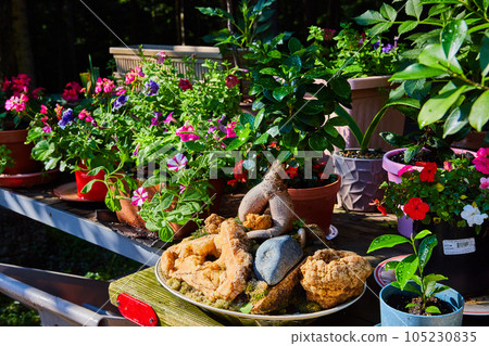 Garden pots with geodes on rustic garden table 105230835