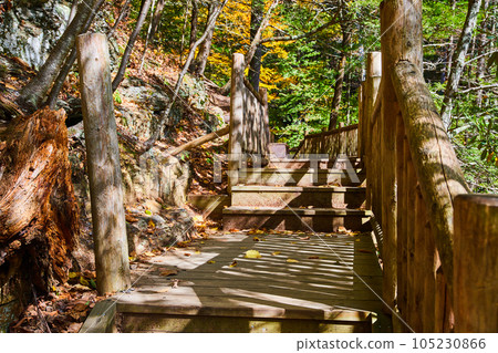 Wood boardwalk and railing steps leading up and into the woods along rocks Wood boardwalk and railing steps leading up and into the woods along rocks 105230866