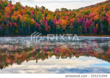 Reflective foggy surface of serene lake with coast of fall forest trees in peak foliage 105231004