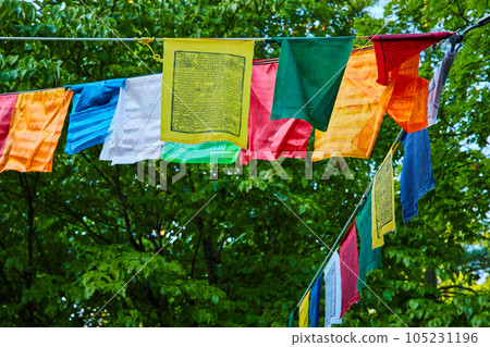 Rope covered in dozens of colorful Buddhist prayer flags Rope covered in dozens of colorful Buddhist prayer flags 105231196