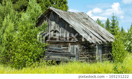 abandoned wooden hut of a forester in the taiga,backgrounds 105231222