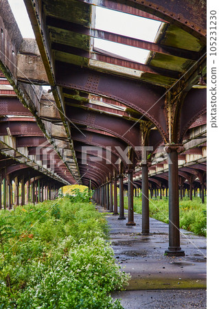 Overgrowth fills old abandoned outside train station with rusting steel 105231230