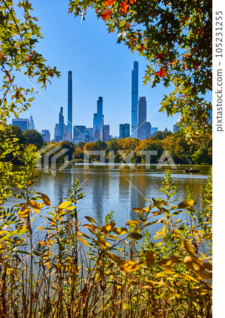 Lake viewed through trees in Central Park with New York City skyline behind 105231255