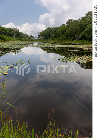 Shiga Kogen highland pond Shiga Kogen highland pond 105231326