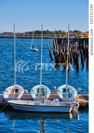 Trio of small white boats on dock with old pilings in background 105231344