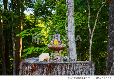 Small Buddha statue on tree stump in forest 105231363