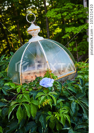 Forest ground with old decayed glass light piece 105231410