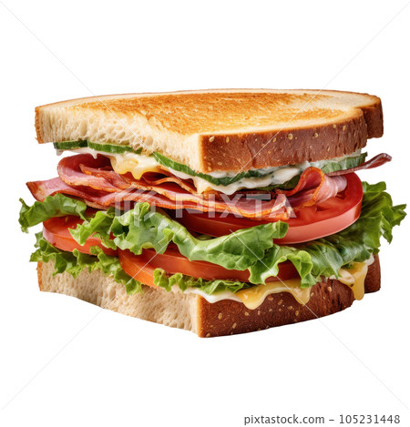 Tasty sandwitch isolated Tasty sandwitch isolated 105231448