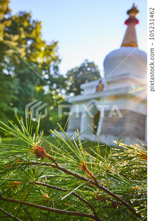 Dew-covered pine needles in morning with Chorten shrine at Tibetan Mongolian Buddhist center Dew-covered pine needles in morning with Chorten shrine at Tibetan Mongolian Buddhist center 105231462