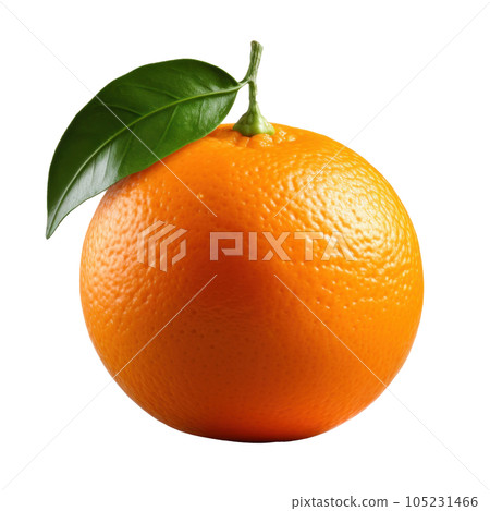 Single mandarine isolated 105231466