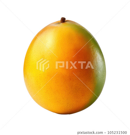 Fresh mango isolated 105231500
