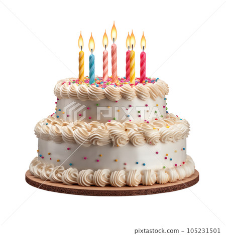 Birthday cake with candles isolated 105231501