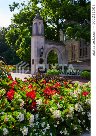 Red and white flowers by Sample Gates entrance to college campus in Indiana 105231502
