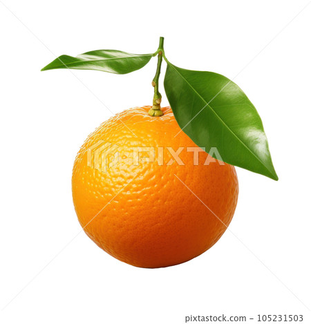 Single mandarine isolated 105231503
