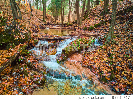 Small river creek with cascading waterfalls in beautiful fall forest covered in orange leaves Small river creek with cascading waterfalls in beautiful fall forest covered in orange leaves 105231747
