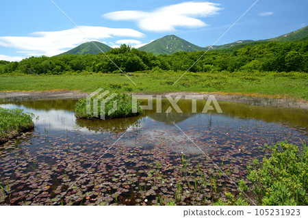 八甲田山田代平濕地池塘 105231923