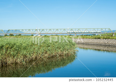[Kotoku Line] Early morning local train crossing the Yoshinogawa Bridge 105232445