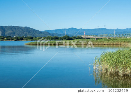 [Kotoku Line] Early morning local train crossing the Yoshinogawa Bridge 105232459