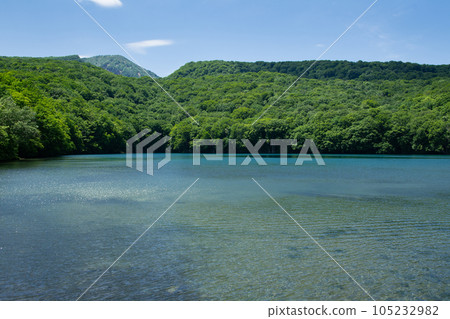 Tsutanuma in summer at the foot of Mt. Hakkoda 105232982