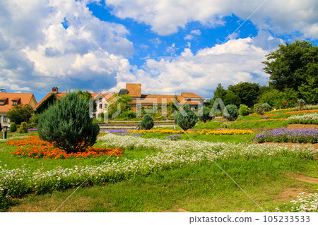 Heidi village Heidi village 105233533