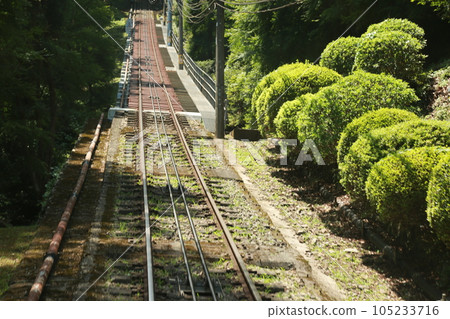 登上高尾山 登上高尾山 105233716